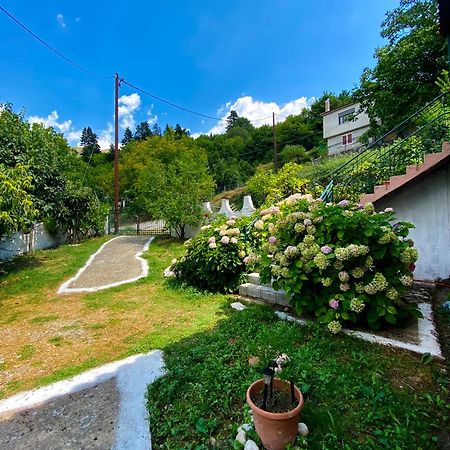 Σπίτι Στα Έλατα Apartment Palaiochori  Exterior photo