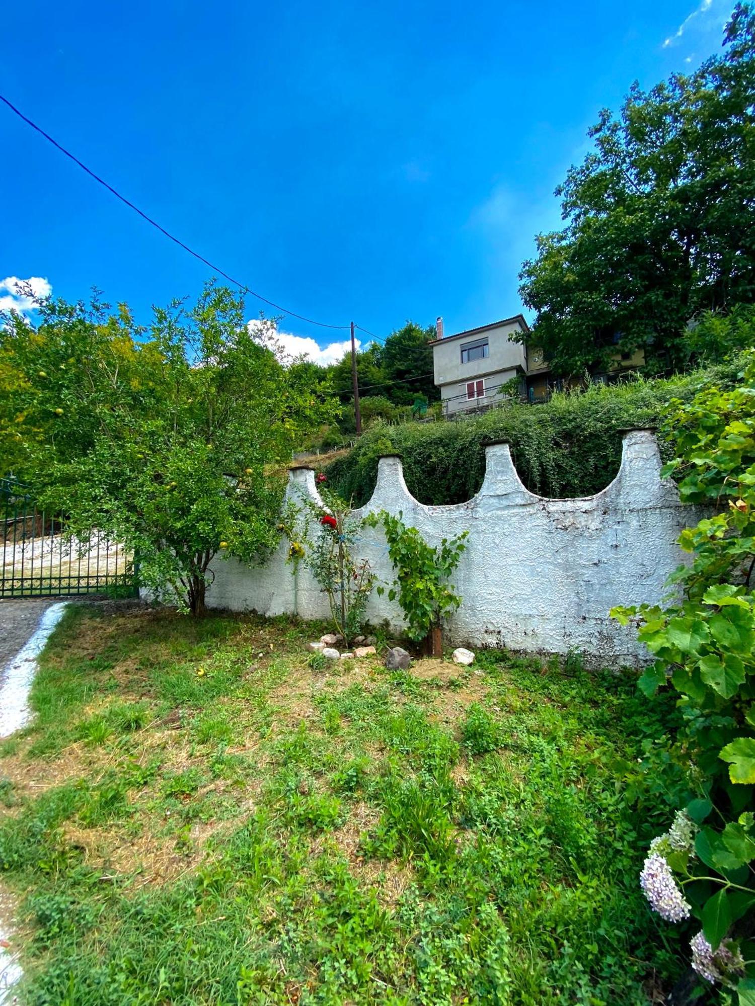 Σπίτι Στα Έλατα Apartment Palaiochori  Exterior photo